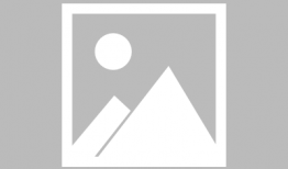 兽人资源漫画,荒野求生与生态平衡的奇幻冒险